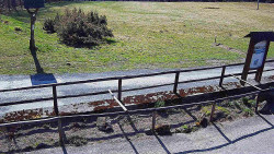 Panorama z Vsackého Cábu