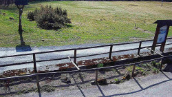 Panorama z Vsackého Cábu