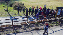 Panorama z Vsackého Cábu