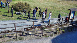 Panorama z Vsackého Cábu