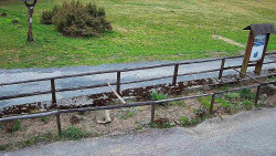 Panorama z Vsackého Cábu