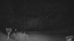 Panorama z Vsackého Cábu