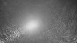 Panorama z Vsackého Cábu