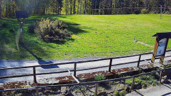 Panorama z Vsackého Cábu