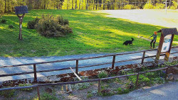 Panorama z Vsackého Cábu