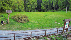 Panorama z Vsackého Cábu
