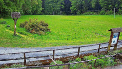 Panorama z Vsackého Cábu