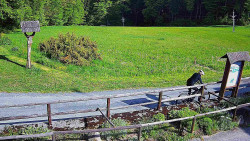Panorama z Vsackého Cábu