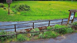 Panorama z Vsackého Cábu