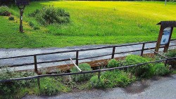 Panorama z Vsackého Cábu