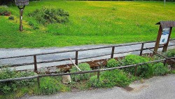 Panorama z Vsackého Cábu