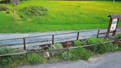 Panorama z Vsackého Cábu