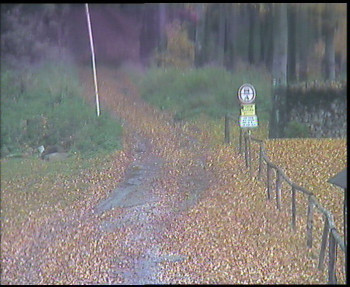 Snímek    25.10.2025 v 10:45
