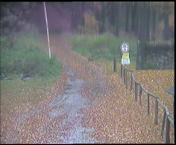 Snímek 26.10.2025 v 08:00