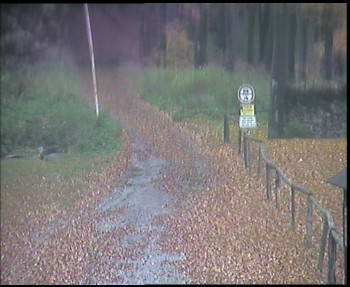 Snímek    26.10.2025 v 11:00