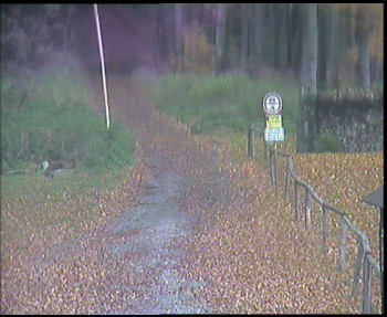Snímek    26.10.2025 v 14:15