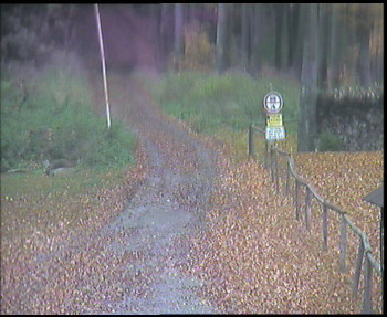 Snímek    27.10.2025 v 09:30
