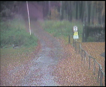 Snímek    28.10.2025 v 12:45