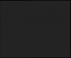 Nástup na běžecké tratě