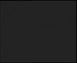 Nástup na běžecké tratě