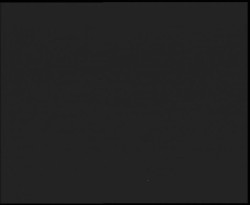 Nástup na běžecké tratě