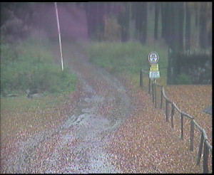 SkiAreál - Horský hotel Vsacký Cáb - Nástup na běžecké tratě - 29.10.2025 v 07:45 SkiAreál - Horský hotel Vsacký Cáb - Nástup na běžecké tratě - 29.10.2025 v 07:45