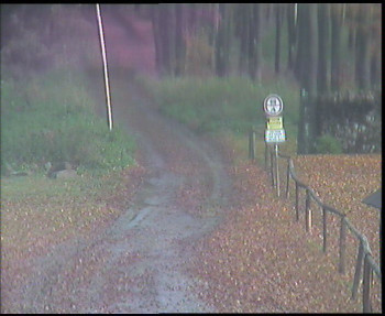 Snímek    29.10.2025 v 09:30