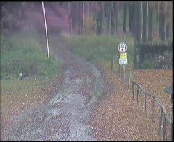 Nástup na běžecké tratě