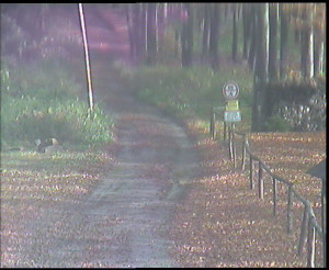 SkiAreál - Horský hotel Vsacký Cáb - Nástup na běžecké tratě - 29.10.2025 v 10:30 SkiAreál - Horský hotel Vsacký Cáb - Nástup na běžecké tratě - 29.10.2025 v 10:30