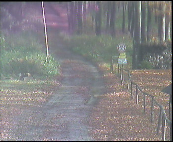 Snímek    29.10.2025 v 10:30