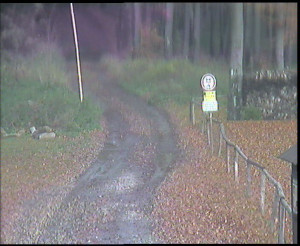 SkiAreál - Horský hotel Vsacký Cáb - Nástup na běžecké tratě - 29.10.2025 v 12:30 SkiAreál - Horský hotel Vsacký Cáb - Nástup na běžecké tratě - 29.10.2025 v 12:30