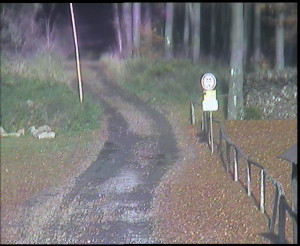 SkiAreál - Horský hotel Vsacký Cáb - Nástup na běžecké tratě - 29.10.2025 v 14:15 SkiAreál - Horský hotel Vsacký Cáb - Nástup na běžecké tratě - 29.10.2025 v 14:15