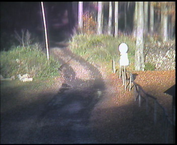 Snímek    29.10.2025 v 14:45