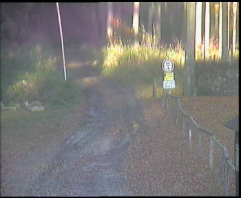 Snímek    29.10.2025 v 15:00