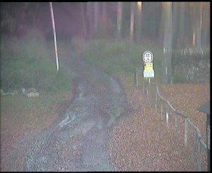 SkiAreál - Horský hotel Vsacký Cáb - Nástup na běžecké tratě - 29.10.2025 v 15:45 SkiAreál - Horský hotel Vsacký Cáb - Nástup na běžecké tratě - 29.10.2025 v 15:45