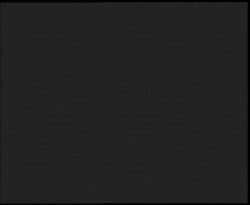 Nástup na běžecké tratě