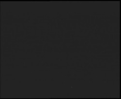 Nástup na běžecké tratě