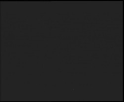 Nástup na běžecké tratě