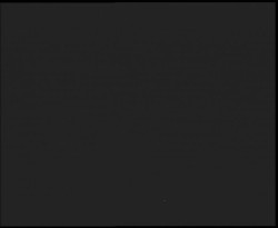 Nástup na běžecké tratě