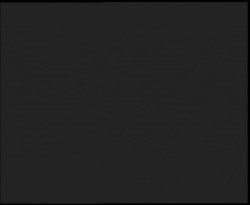 Nástup na běžecké tratě