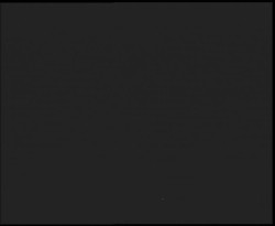 Nástup na běžecké tratě