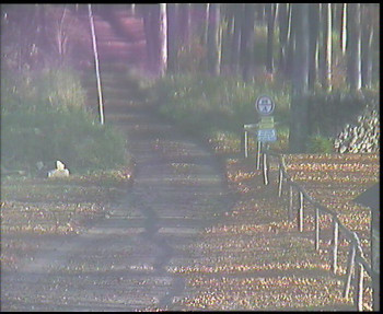 Snímek    31.10.2025 v 09:00