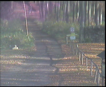 Snímek    31.10.2025 v 10:00