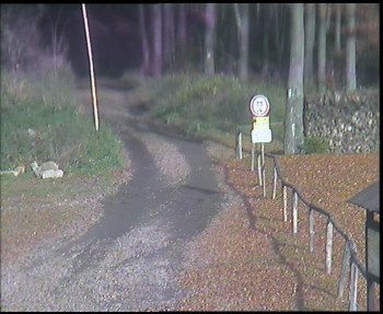 Snímek    31.10.2025 v 13:00