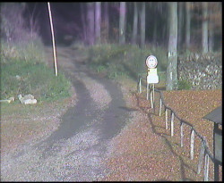 Nástup na běžecké tratě