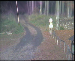 Nástup na běžecké tratě