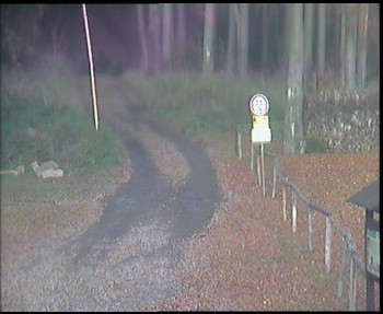 Snímek    31.10.2025 v 15:00