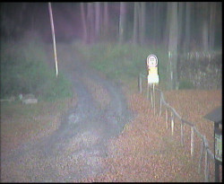 Nástup na běžecké tratě