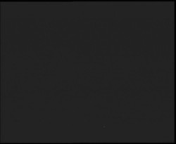 Nástup na běžecké tratě