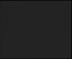 Nástup na běžecké tratě